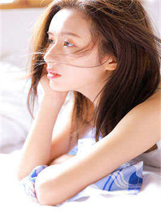 精英律师在线观看